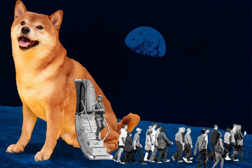 crypto news shiba