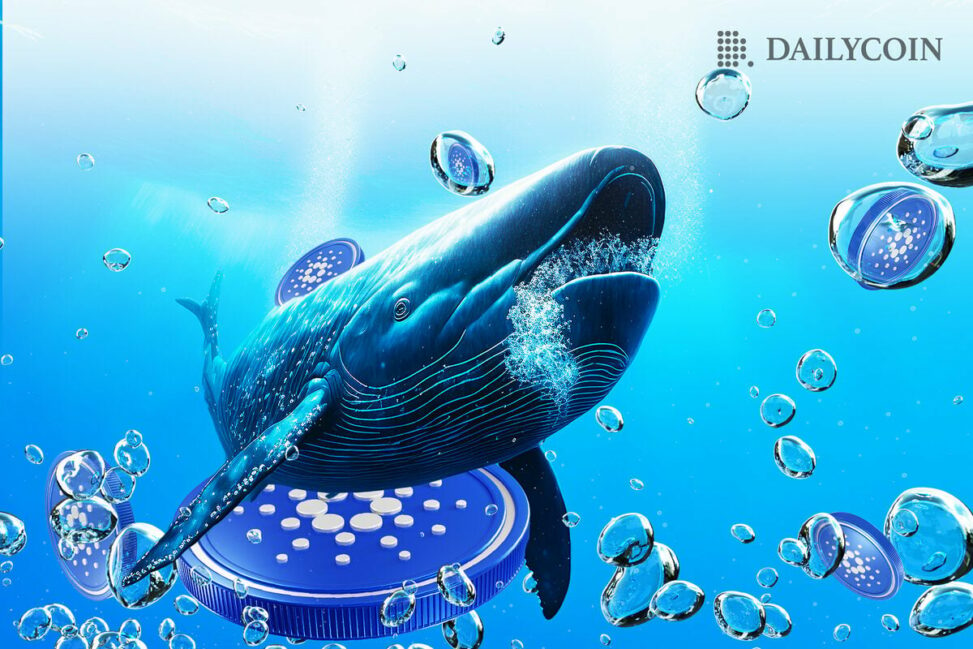 Cardano Whales Bullish On Ada Is The Optimism Warranted Crypto