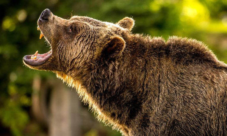 Crypto bloodbath: $581m in derivatives liquidated amid bitcoin’s fall