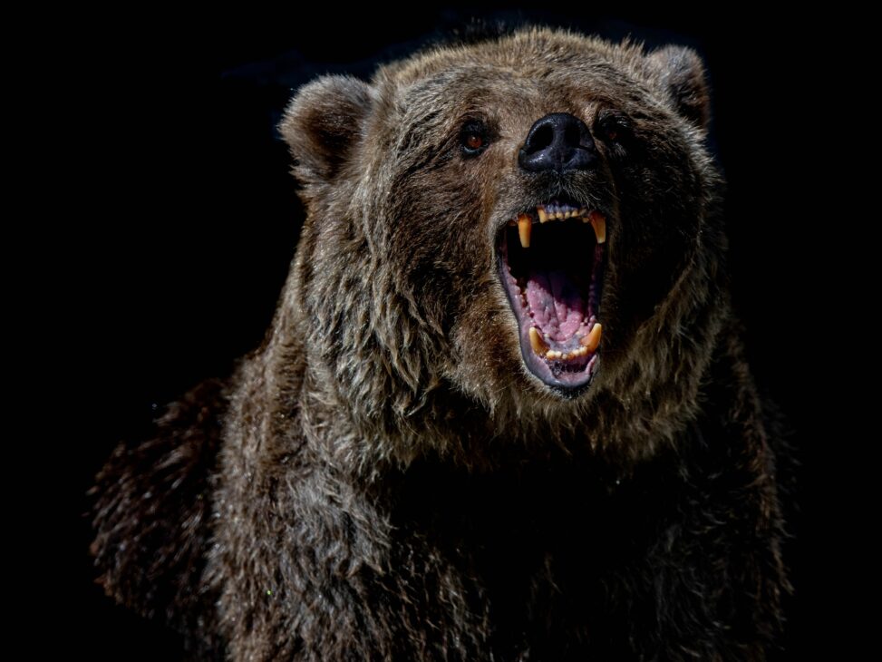 Xrp, apt, ada tumble another 15%; investors may be paring longs ahead of cpi data