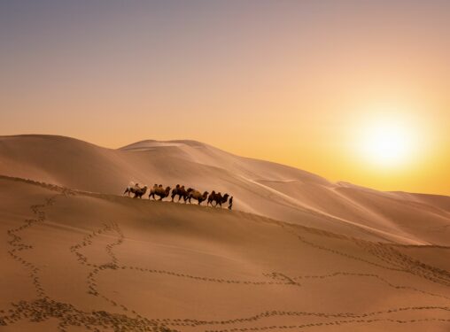 Silk road bitcoin worth nearly $2b moved to coinbase prime