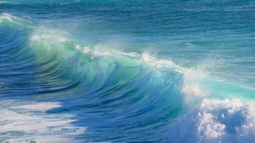Fomo traders beware, bitcoin's 'high wave' price action points to confusion: godbole