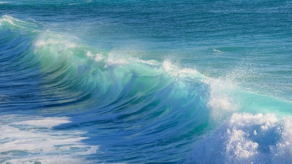 Fomo traders beware, bitcoin's 'high wave' price action points to confusion: godbole
