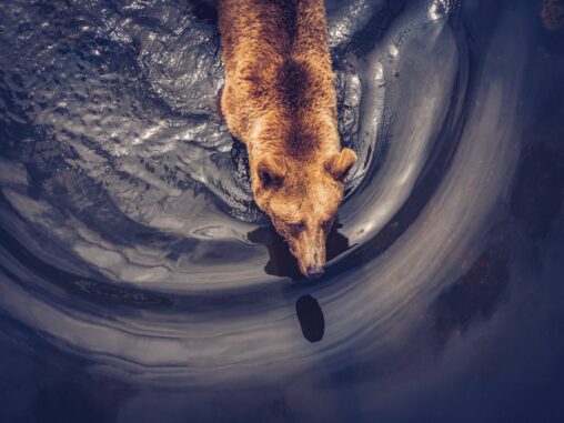 Bitcoin Drops To $92,000 As Long Term Holders Keep Taking Profit