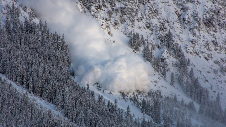 Avalanche Closes $250 Million Token Sale Ahead Of Upcoming Avalanche9000 Upgrade