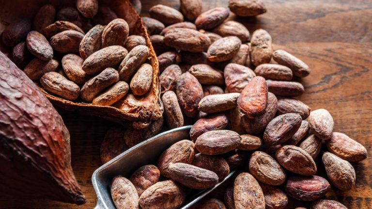 Roasted Bitcoin? Cocoa Rises As The Best Investment Of 2024