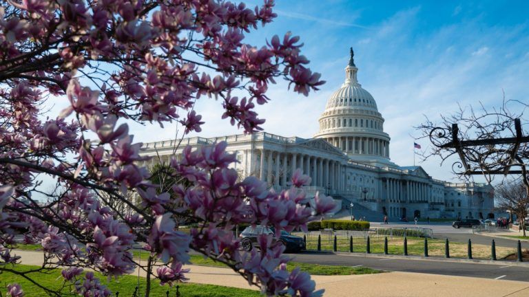 Ripple’s Legal Chief Urges Congress To Regulate Crypto Practices, Not Technology