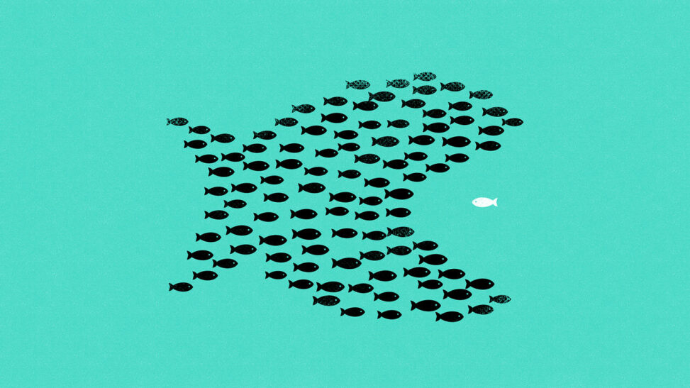 Why Your Portfolio Is Less Diversified Than You Might Think
