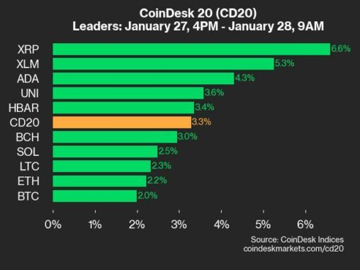 Coindesk 20 Performance Update: Xrp Gains 6.6% As Index Trades Higher