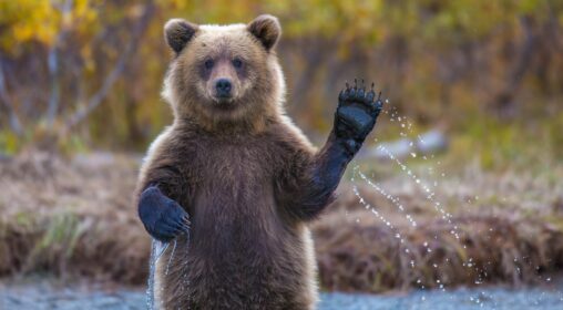 Solana, Dogecoin, Xrp Plunge 10% As Bloody Start To Week Sees $770m Long Liquidations