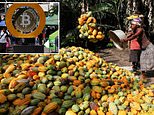 This Edible Commoditity Surged 167% In Price In 2024... Beating Bitcoin