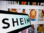 Senior Mp's Profound Concerns Over £50bn Shein Listing