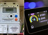 More Than Half A Million Households Will Be Forced Into Having Smart Meter Before June Here's Why