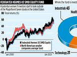 Federated Hermes Us Smid Equity Fund: Tortoise Can Beat The Hare