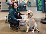 How Could Chancellor Create Budget That's So Bad For Women? Asks Pets At Home Boss