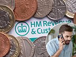 Mps Accuse Hmrc Of 'deliberately' Letting Phone Services Deteriorate To Push Taxpayers Online