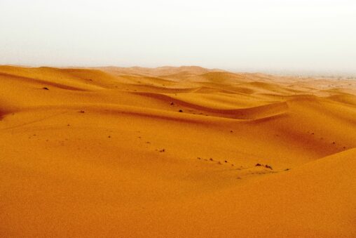 Sandboxes Are A Way Out Of The Regulatory Sandstorm