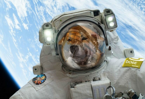 Sentiment Readings Favor Dogecoin Gains As Cardano’s Ada Leads Market Bump