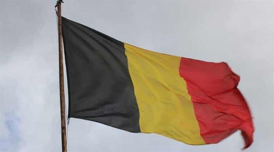 Fsma Reports €15.9 Million In H2 Fraud Losses And 297 Warnings In 2024