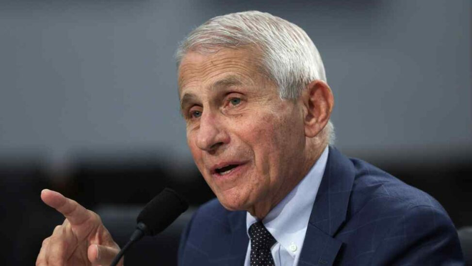 Joe Biden Pardons Anthony Fauci, Liz Cheney And Mark Milley