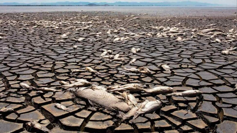 World Breaches 1.5c Global Warming Target For First Time In 2024