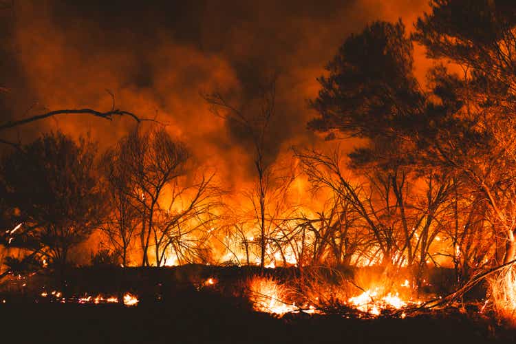 La Wildfires Double Insurance Bill To $20b Overnight, J.p. Morgan Estimates