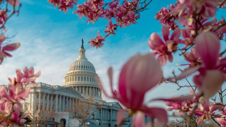 Ripple Ceo Praises New Treasury Secretary—expects Pro Crypto, Pro Tech Reforms