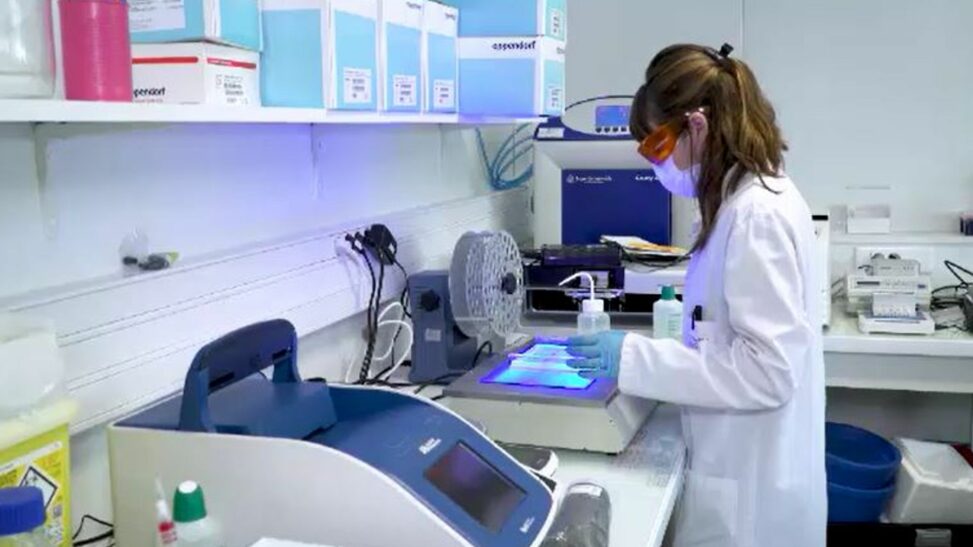 Study Of Cancer Super Survivors Aims To 'kill' The Disease In 20 Years