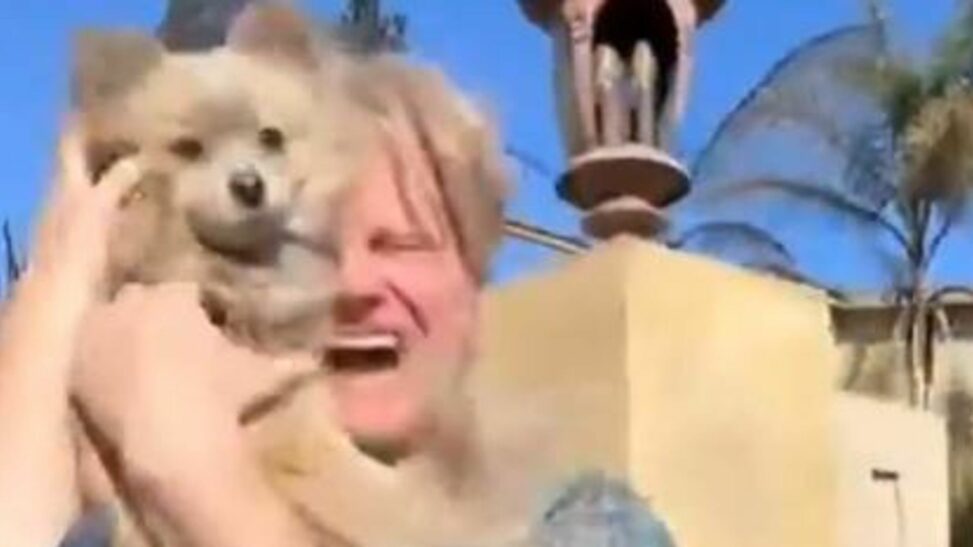 La Resident's Emotional Reunion With Dog Who Survived Palisades Fire