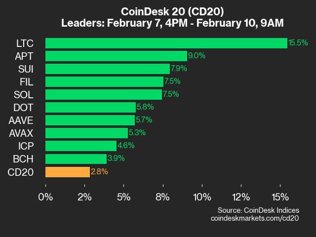 Coindesk 20 Performance Update: Ltc Surges 15.5% As Index Trades Higher From Friday