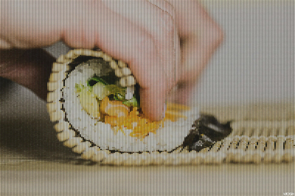 The Protocol: Can Based Rollups Solve Ethereum’s Layer 2 Problem?
