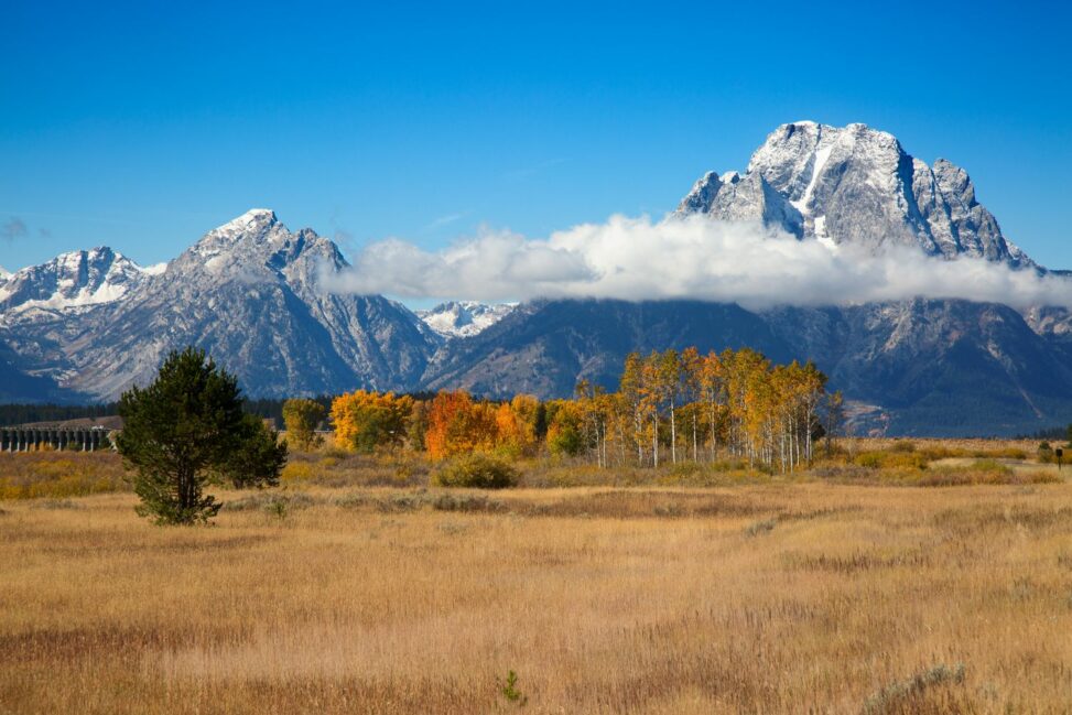 Wyoming’s Future As A Blockchain Leader Hangs In The Balance Without Fair Procurement Processes