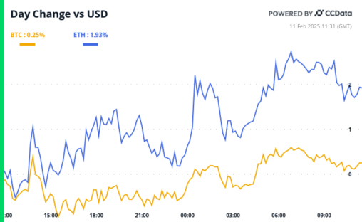 Crypto Daybook Americas: Ada Rallies, Btc Looks To Powell's Testimony On Capitol Hill