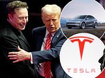 Is Elon Musk Turning People Off Tesla? Two Thirds Of Car Buyers Would Rather Buy An Ev From China, Survey Claims