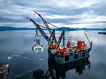 European Oil Giants To Drill, Baby, Drill In Green Energy Retreat
