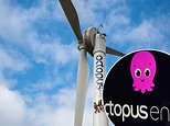 Octopus Energy Launches Platform For Customers To Invest In Wind Turbines With £25 What Are The Risks?