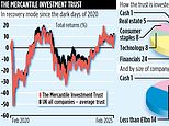 Mercantile Investment Trust: Housing Giant Giving Fund A Firmer Foundation To Build On