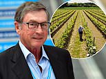 English Winemaker Gusbourne Faces Delisting From Aim After Shares Plummet