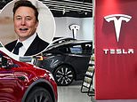 Tesla Sees $100bn Wiped Off Its Value As Europe Snubs Musk Over his Foray Into Politics