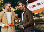 Stella Artois And Corona Brewer Ab Inbev Toasts Record Sales Despite Trading Troubles In China