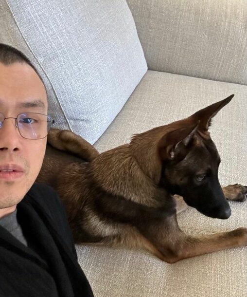 Cz's Dog Made A Killing For One Memecoin Creator And Murdered Everyone Else
