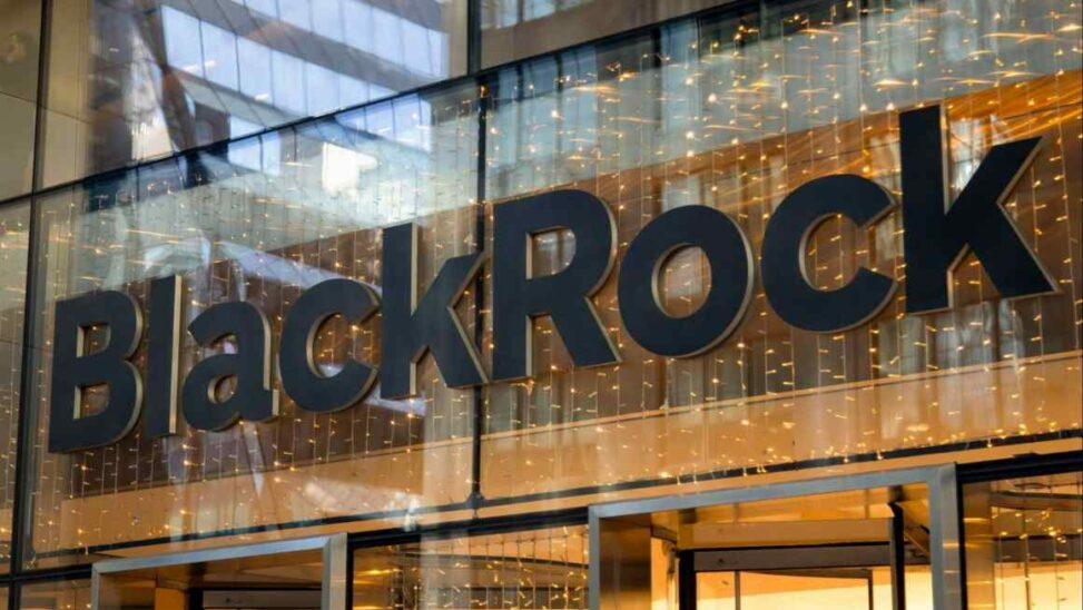 Blackrock Halts Meetings With Companies After Sec Cracks Down On Esg
