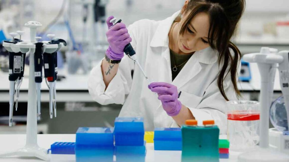 Uk Visa Rules Hurt Science And Tech Ambitions, Ministers Warned