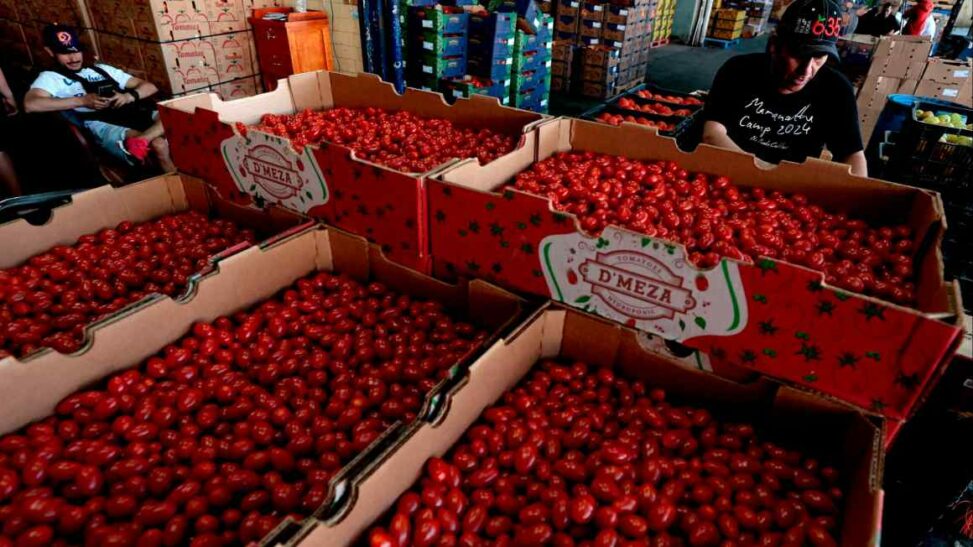 The Tomato Tariff? Us Consumers Set To Pay Price Of Trump’s Trade War