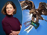The 'far Too Cheap' Uk Shares Ripe For Takeovers: Ten Bargain Stocks Including Household Names