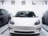 What's Really Happening At Tesla? Sales Slump And Shares Tank As Musk Provokes 'tesla Takedowns'
