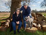 Jeff Prestridge: Barking Mad The Insurance Cover So Costly Buyers Have To Cancel