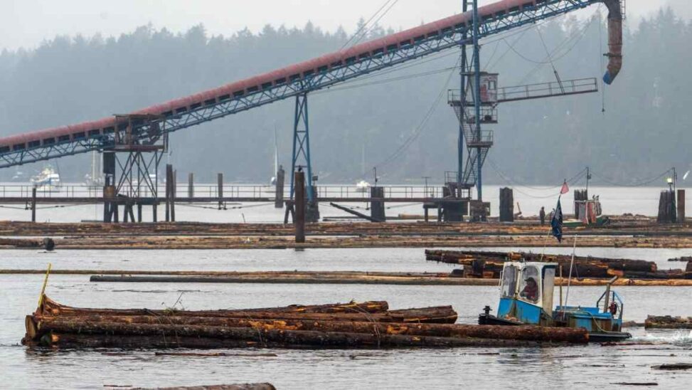 Trump Orders Probe Into Alleged Dumping Of Lumber In Us Market