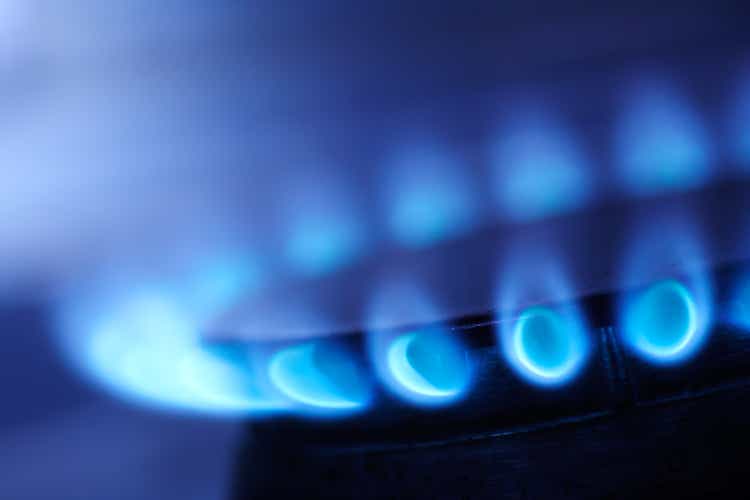 Nw Natural Holdings Picks Palfreyman As Next Ceo