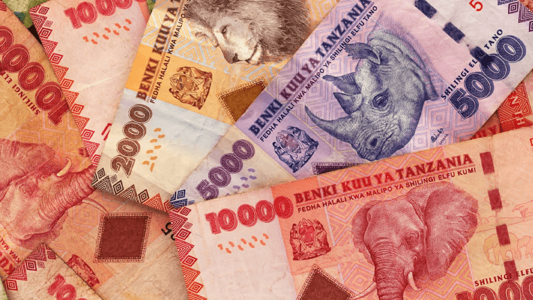 Tanzanian shilling’s 8.9% ytd drop earns it world’s worst performing currency status